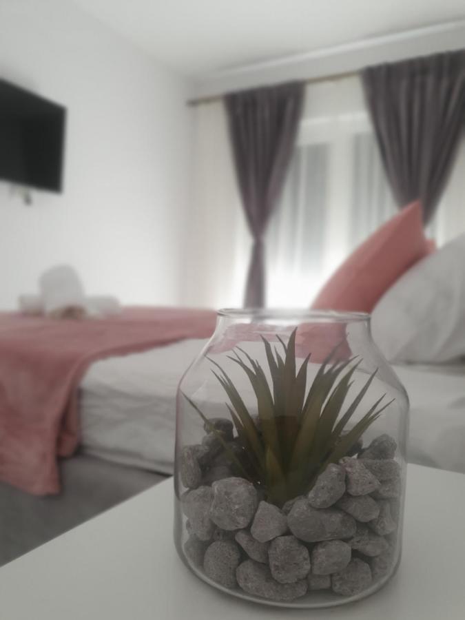 Ale House Daire Oradea Dış mekan fotoğraf