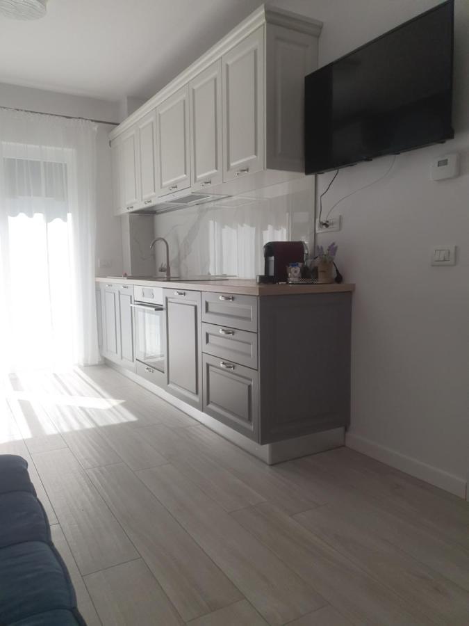 Ale House Daire Oradea Dış mekan fotoğraf